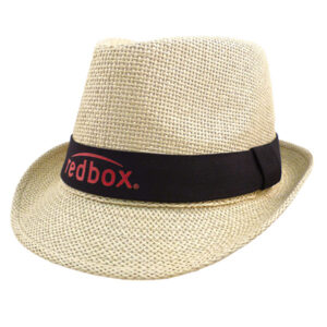 Nature Straw Fedora Hat